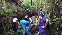 Trekking Roraima 5/6 HD Tepuy Roraima, Venezuela @miguelmmz