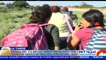 Michael García, asesor jurídico principal de HRW, explicó a NTN24 que niños migrantes en México pueden pedir visa humanitaria