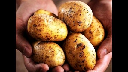 Peru News: The Wall Street Journal - "NASA Really Is Trying To Grow Potatoes on Mars"