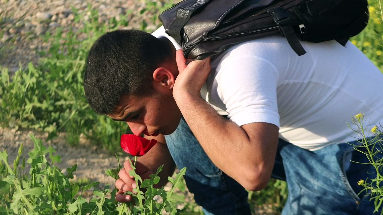 İbo Gül Serzenish  Efecan Mutluluk sende kimsin 2011