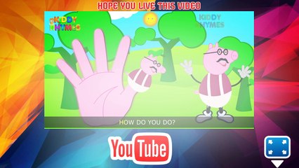 The peppa pig finger family  peppa finger family  Finger Family peppa pig