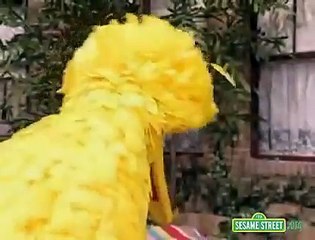 Sesame Street - Big Bird Finds a Turtle