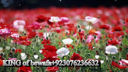 Beshak Tum Meri Mohabbat Ho((Kumar Sanu Sad Song ...by king bewafa