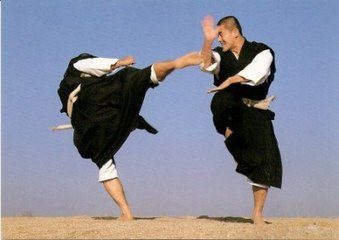 Shorinji Kempo