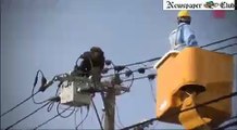 chimpanzee on electric pole in japan