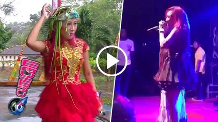 Show Tanpa Ular, Dewi Sanca Mati Gaya - Cumicam 17 April 2016