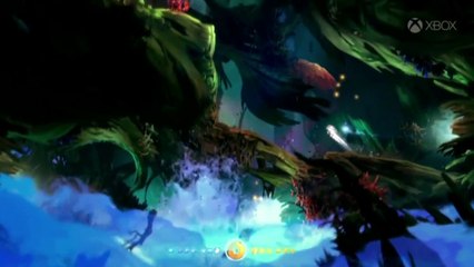 Выставка Gamescom 2014. Конференция Microsoft. Ori and the Blind Forest