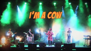COWGAROO, the Band - LIVE VIDEO MEDLEY
