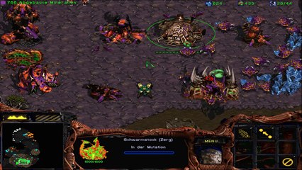 Let's Play StarCraft Broodwar - Zerg #03