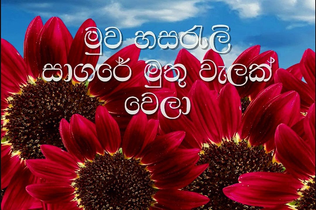 muwa hasareli saagare මුව හසරැලි සාගරේ