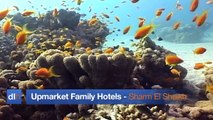 Upmarket Family Hotels in Sharm El Sheikh - Directline Holidays Videos