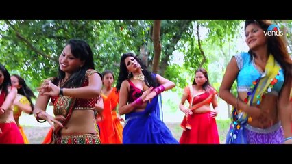 A Raja Patar Hotai Ba Full Bhojpuri Video Song  Deewana 2