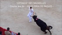 OPTIMUS DES BAUMELLES-Meilleur Taureau-COURSE CAMARGUAISE aux AS-FERIA DE PAQUES en ARLES 2016