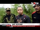 6 Hektare Ladang Ganja di Musnahkan Oleh Petugas