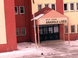 Bitlis'te hırsız paniği