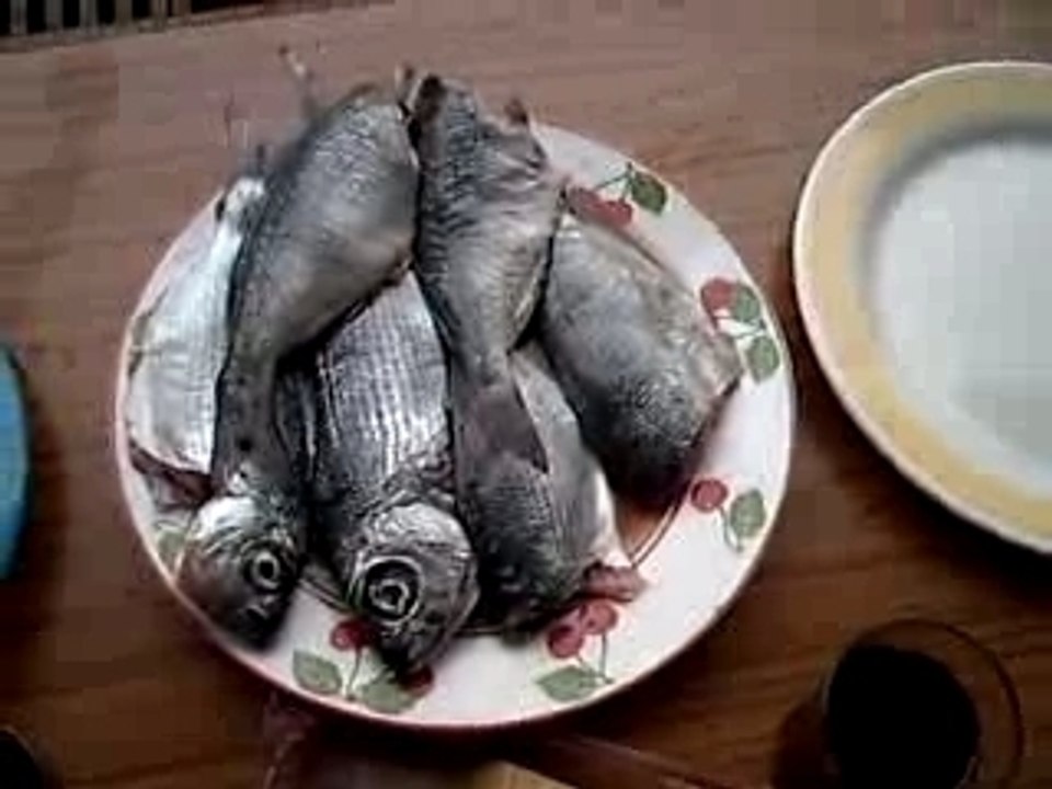 Vidange et friture (suite)