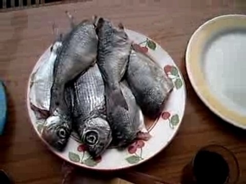 Vidange et friture (suite)