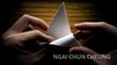 Origami Flapping Bird (Tutorial)