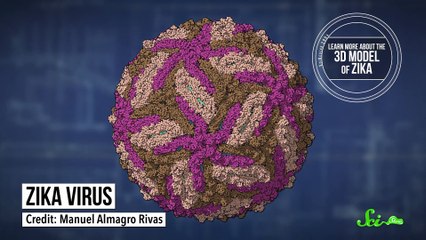 Another Zika Update & Quantum Physics Gamers