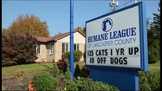 Humane League of Lancaster County announces change to 'no-kill'