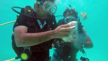 Scuba Diving 2 | Arabian Sea | GoPro