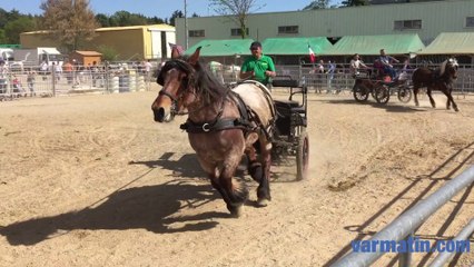 C'est parti pour neuf jours de foire à Brignoles