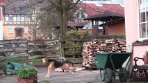 Stacking Firewood - making a circular stack