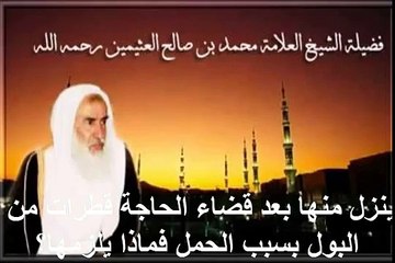 محمد بن عثيمين ينزل منها بعد قضاء الحاجة قطرات من البول بسبب الحمل فماذا يلزمها؟