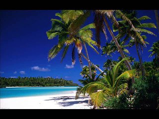 Into The Tropics - Original (Idea By FLAX Music Production)