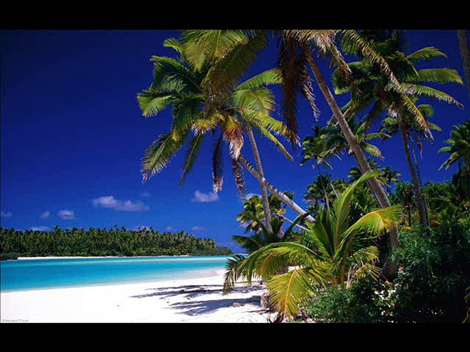 Into The Tropics - Original (Idea By FLAX Music Production)