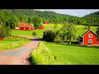 Made In Sweden - Original (Idea By FLAX Music Production)