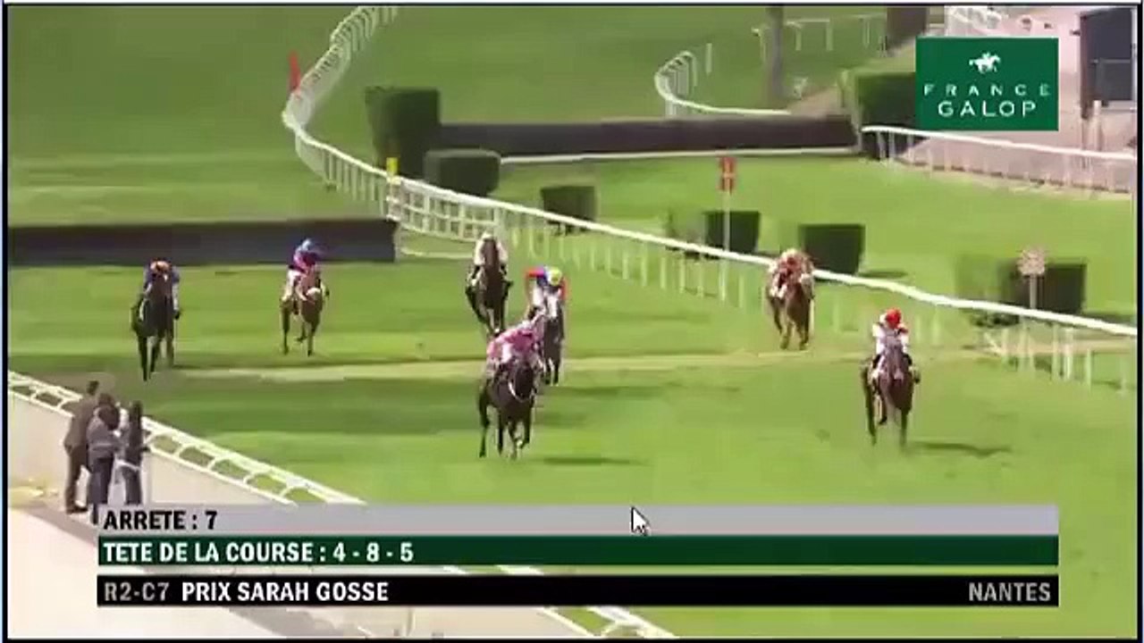 Un cheval percute violemment des spectateurs à l'hippodrome de Nantes