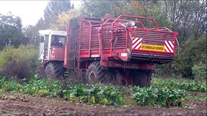 Dewulf 2 fasen bieten rooien 2012 - De Cuyper uit Waregem