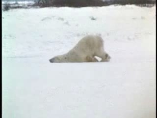 Friday night vs Monday morning