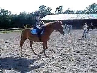 Moi et Hermine