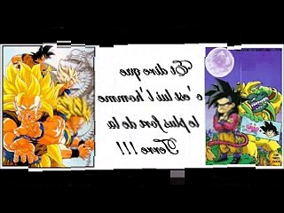 Une taie d'oreiller à l'effigie de DBZ
