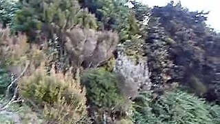 Huette Kinabalu
