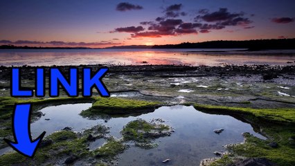 Ryse: Son of Rome key generator gratuit telecharger