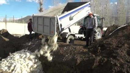 Telef Olan 40 Bin Tavuk, Kireçlenip Çukurlara Gömüldü