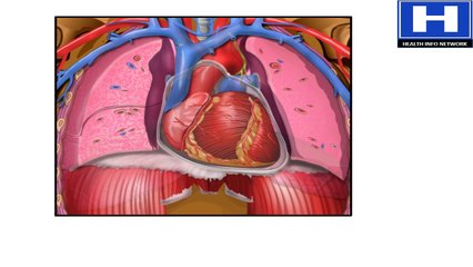 How the Heart Works - Electrical System of the Heart Animation - Cardiac Conduction Video - ECG