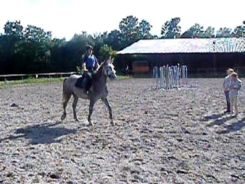 ma sister Kaulitz et Orphée