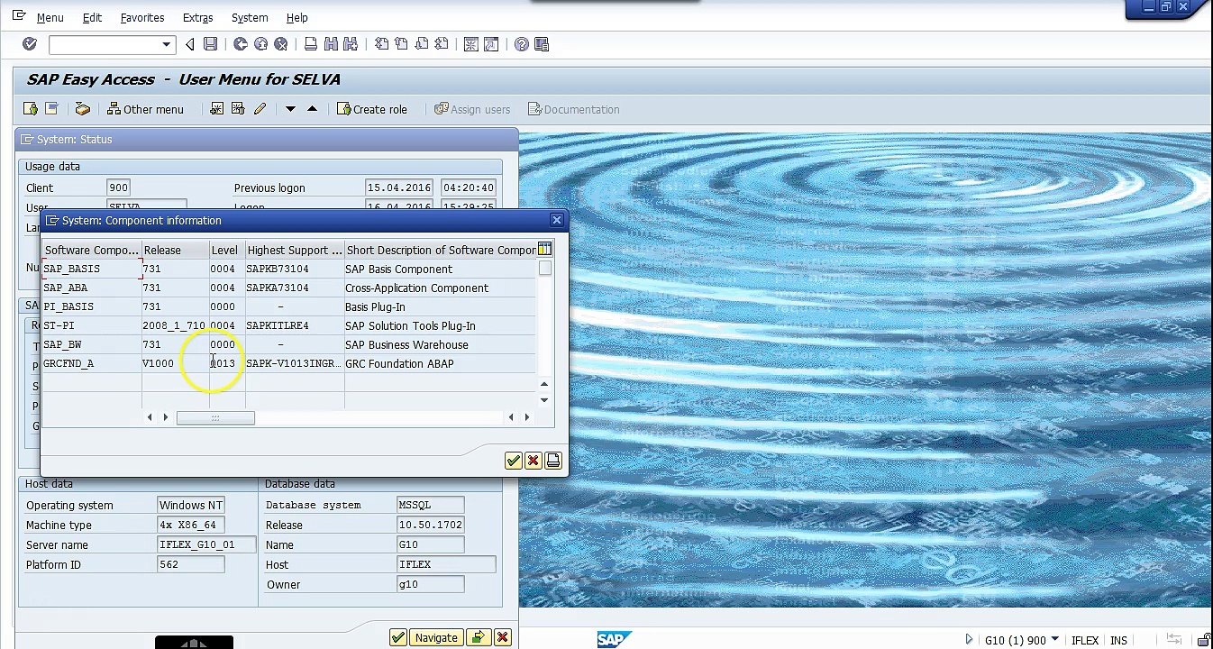 How To Check For Version In SAP GRC Video Dailymotion
