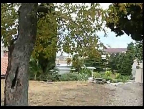 Ridder Erik & Ridder Mus