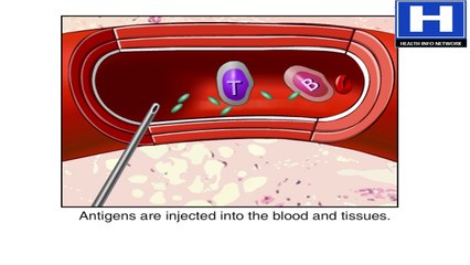 How Vaccines Work in the Human Body Animation - Immune System Response to Vaccination Video