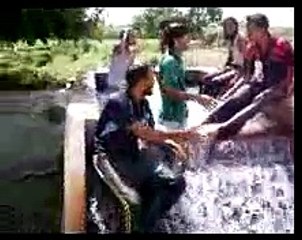 Vehari Snapers Going To Malsi Just Fun Vehari And Swiming In Tube Wall