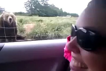 Funny Videos from world wide - Funny Clips - funny animals - funny kids -, -