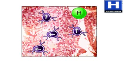 How Your Immune System Works Animation - Structure & Function Video - Immune Response to Virus