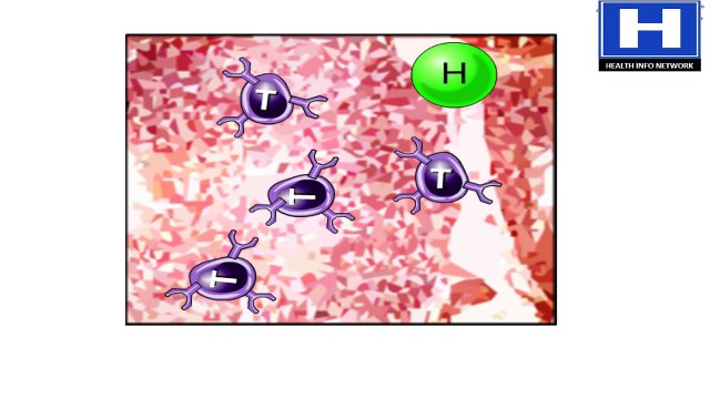 How Your Immune System Works Animation - Structure & Function Video - Immune Response to Virus