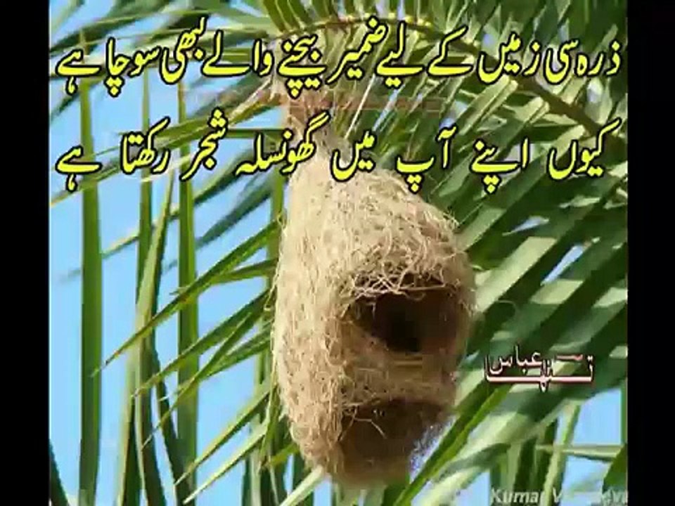 New Ghazal Tanha Abbas -Wo NAzar pe hamari nazar rakhta hai-Urdu Poetry-Shayari - YouTube