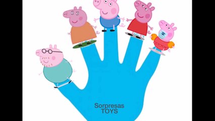 Peppa Pig The Finger Family Song  Nursery Rhymes  Kids Songs  Sorpresas TOYS ✫ ✫